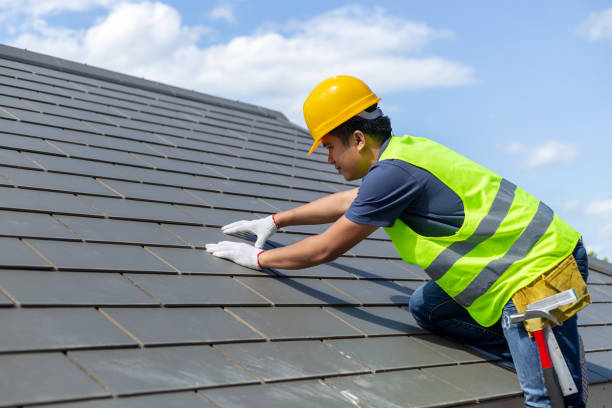 Best Solar Panel Roofing Installation  in Genoa, OH