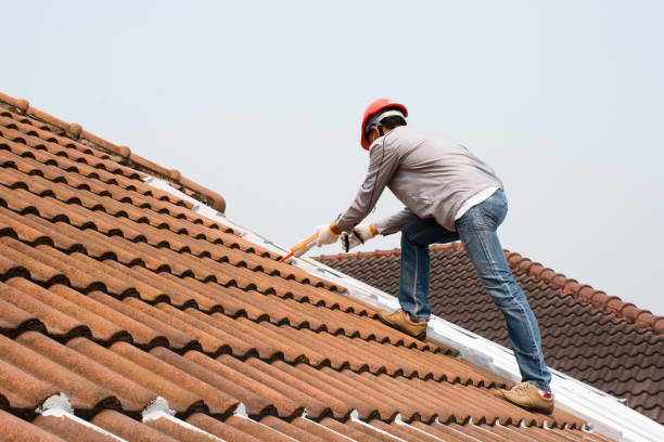Best Roof Insulation Installation  in Genoa, OH