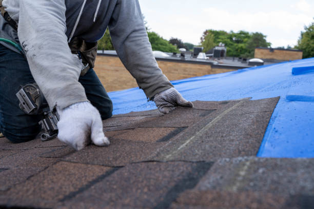Best Commercial Roofing Services  in Genoa, OH