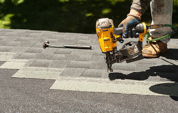 Best Chimney Flashing Repair  in Genoa, OH